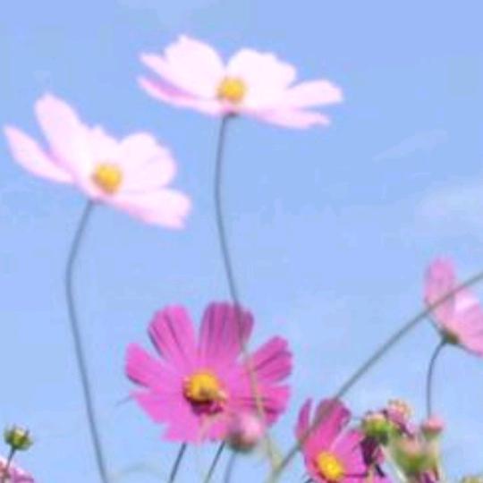爱要有你才完美
