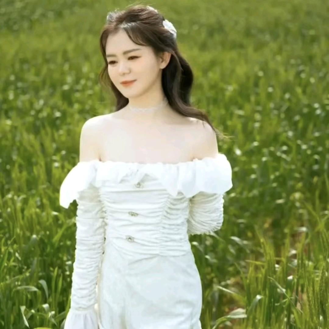 柿柿如意