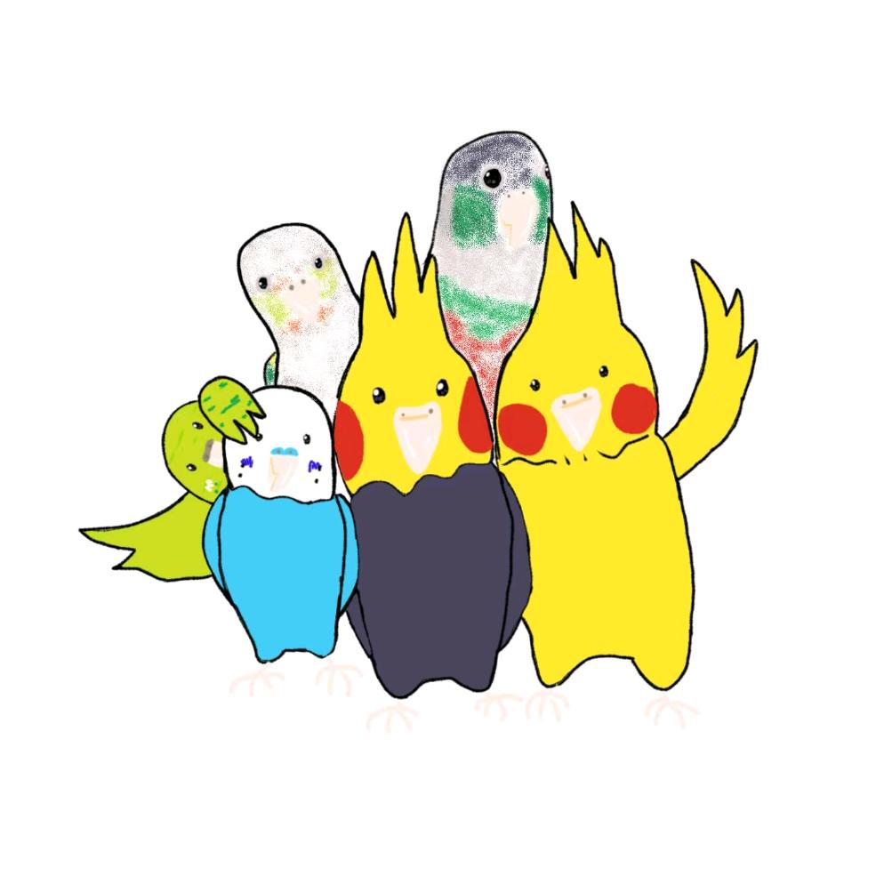 一坨肥鸡咕哒