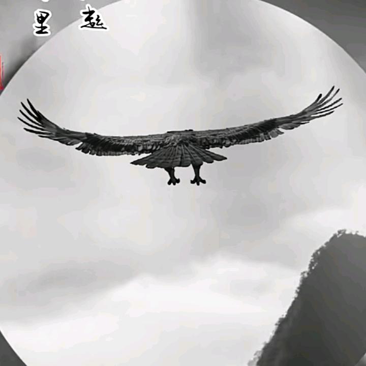 飞翔⭐️⭐️⭐️⭐️