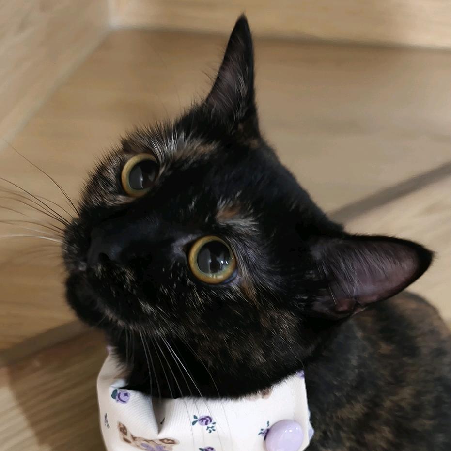 银河乐园售票员