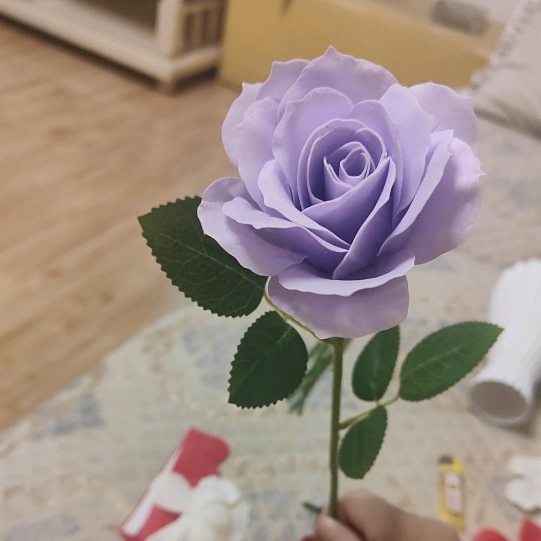 咪咪咪❤️