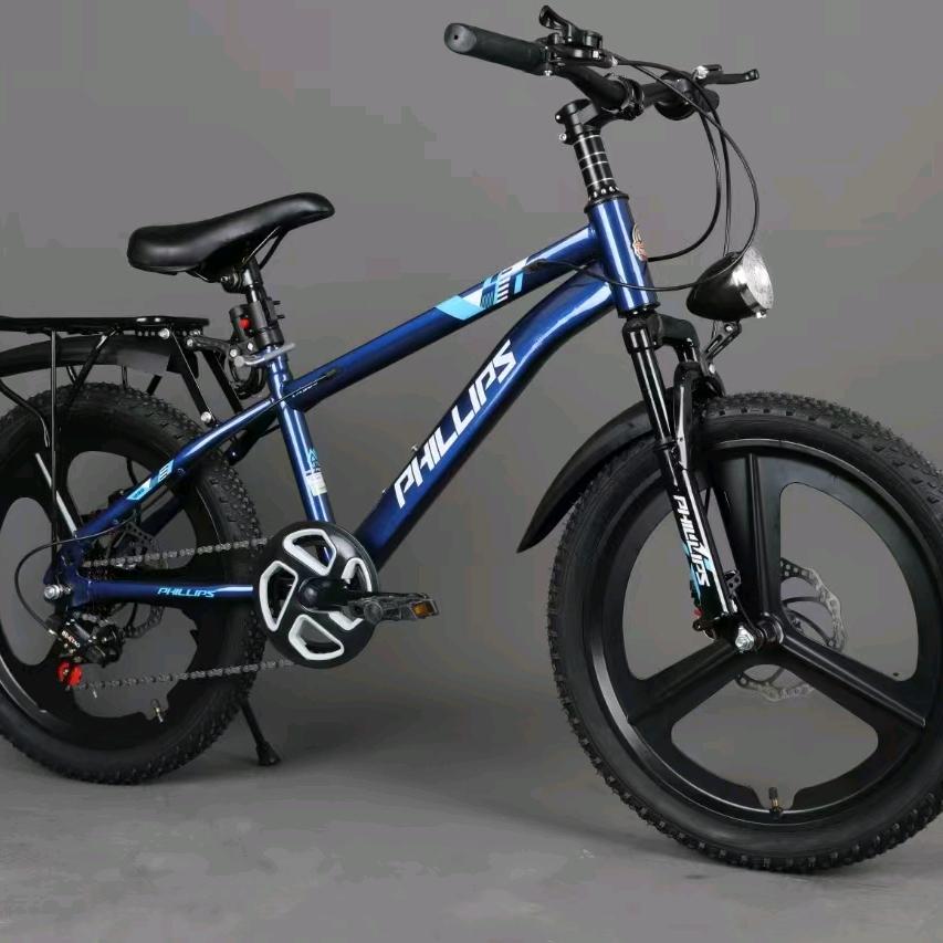 PHILLIPS菲利普童车