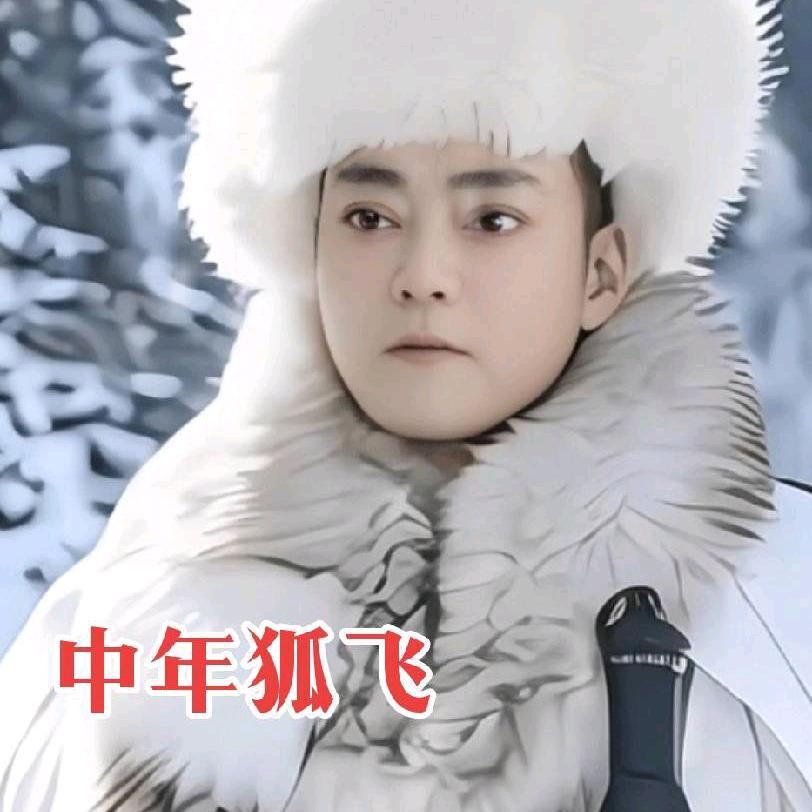 飞元帅