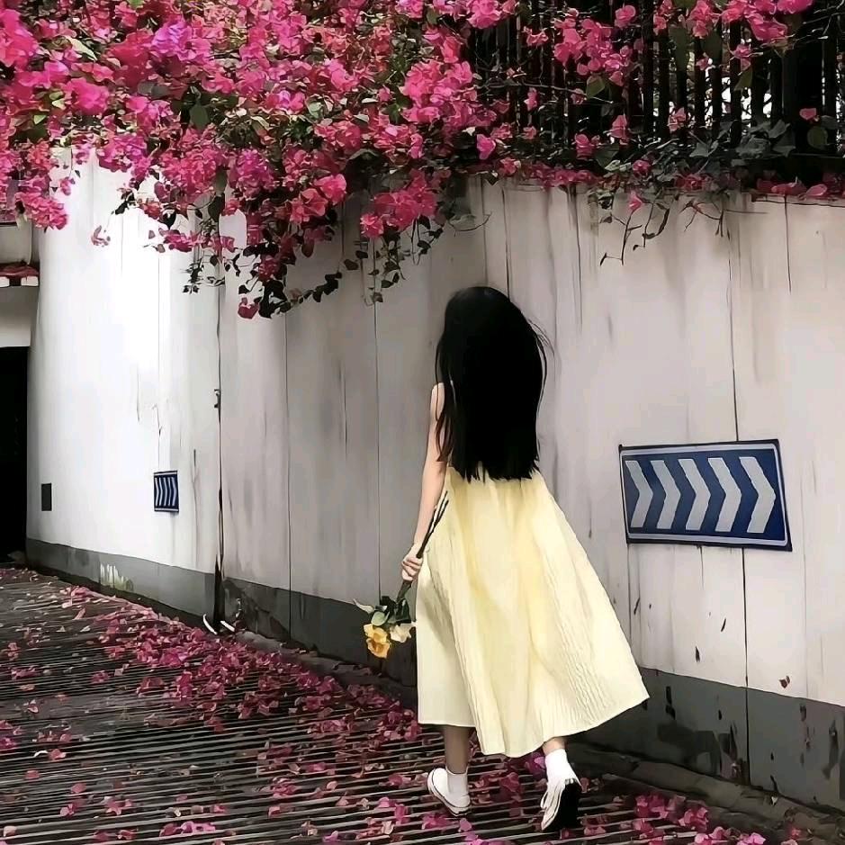绿匣子的猫
