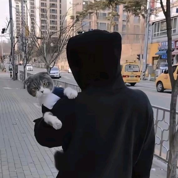 看海忘川