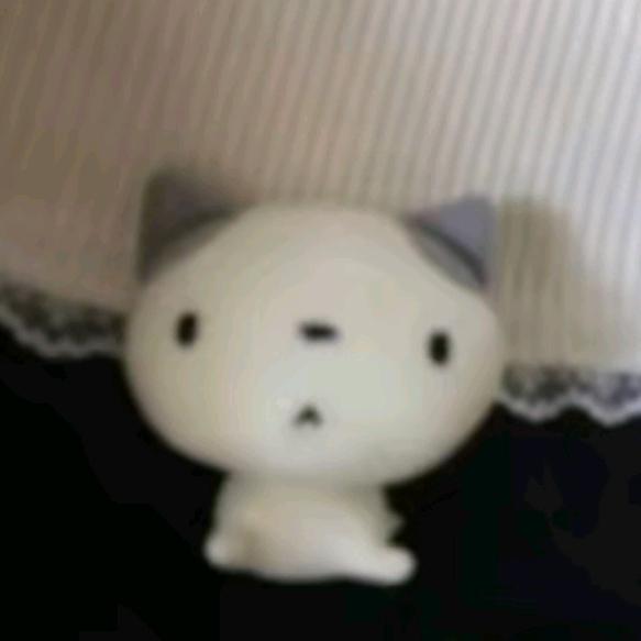 晴天live