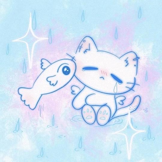 中午吃什么