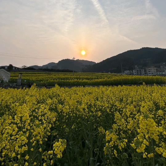 爱是你我