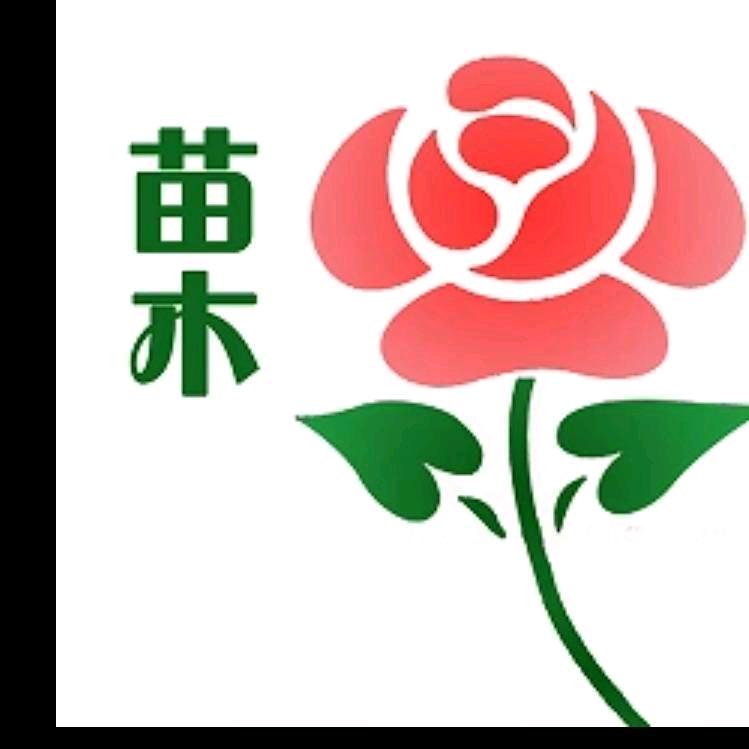 飞豪果树苗木专营店101