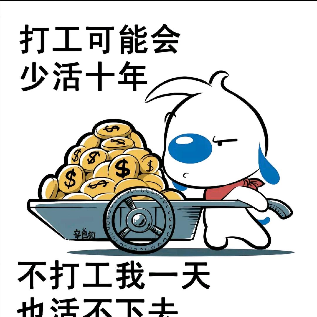 吸金小能手
