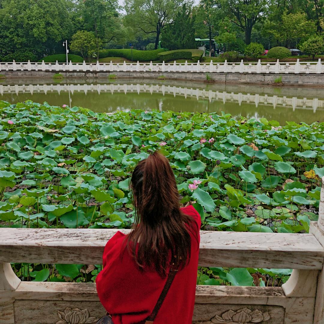 日盛湖湘悦府马月红