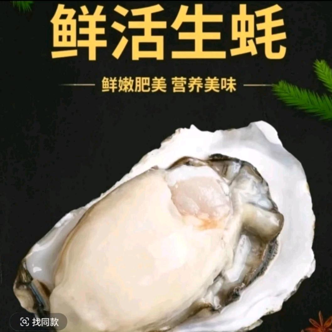 新疆海鲜批发