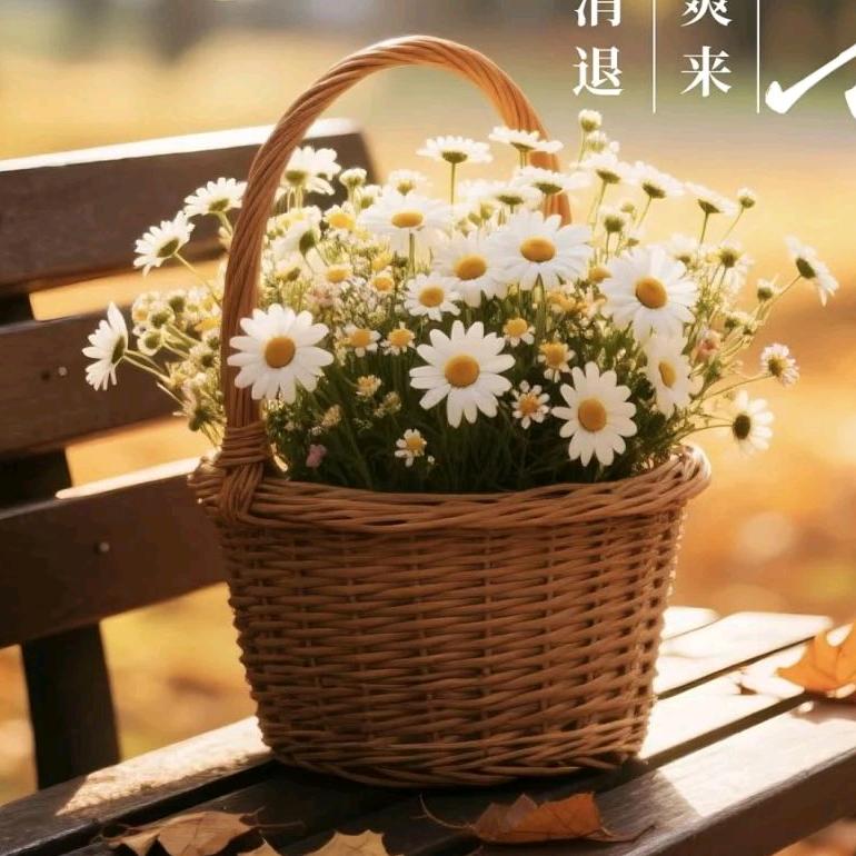 晨露