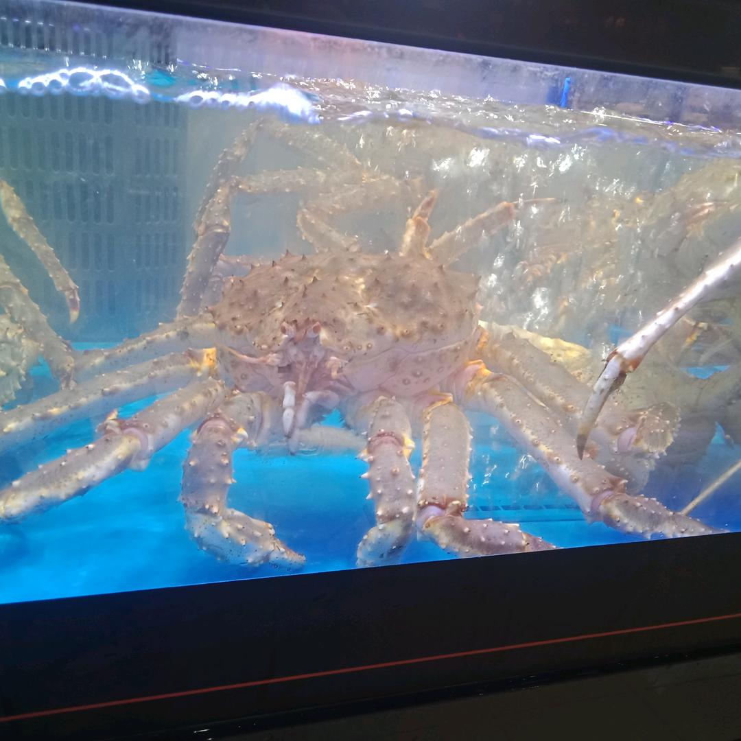 欣怡宝贝