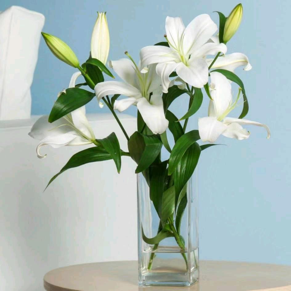 琪琪妈（首播筹备中）