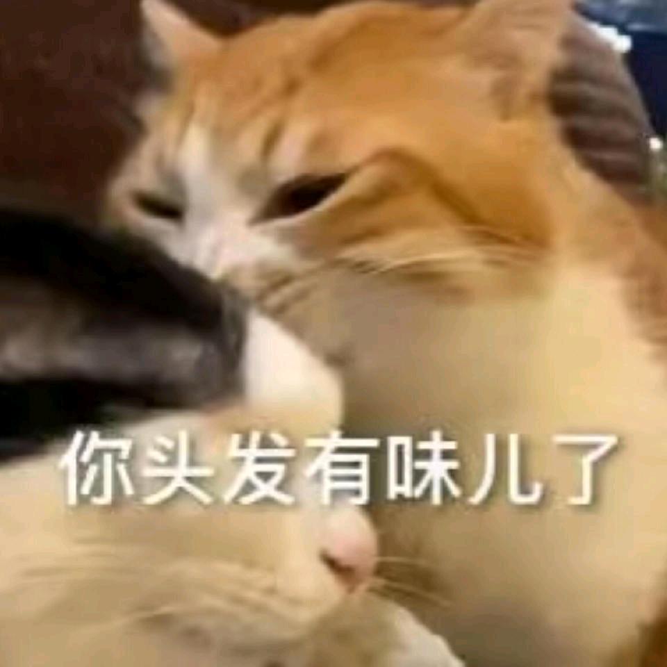 凛川