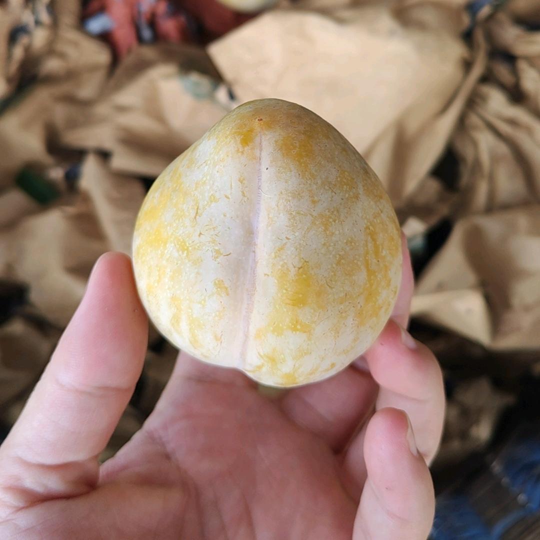 小草(奈李)种植