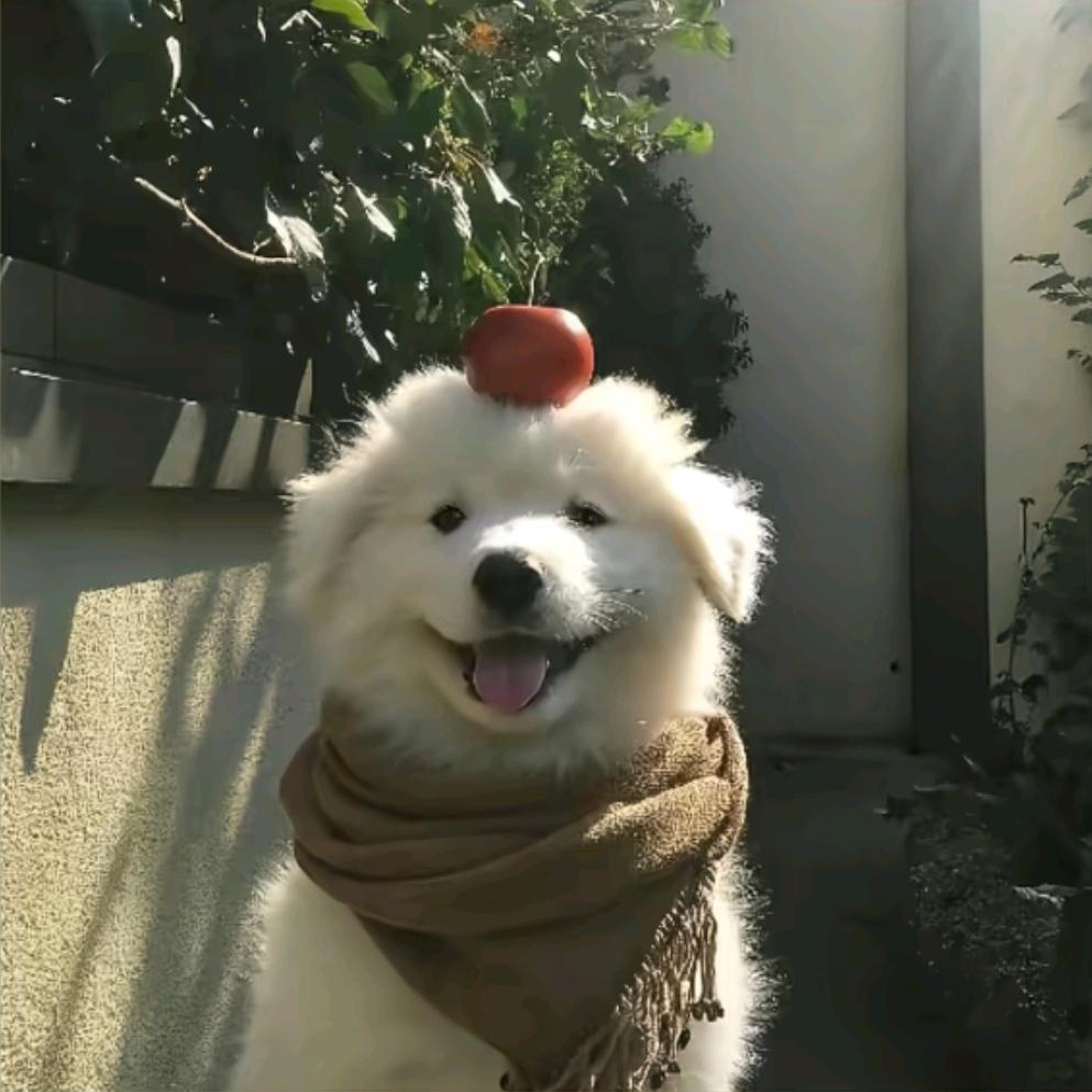 哄🔮