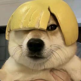 吧吧吧吧