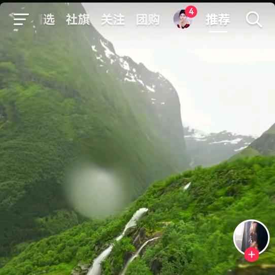 四叶草