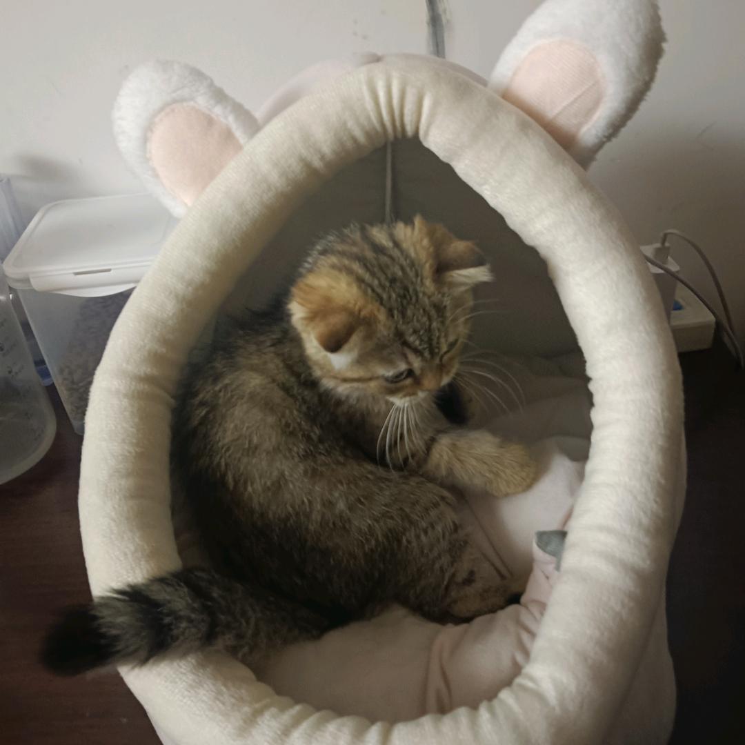 重生之我在黑石公园台球厅当前台