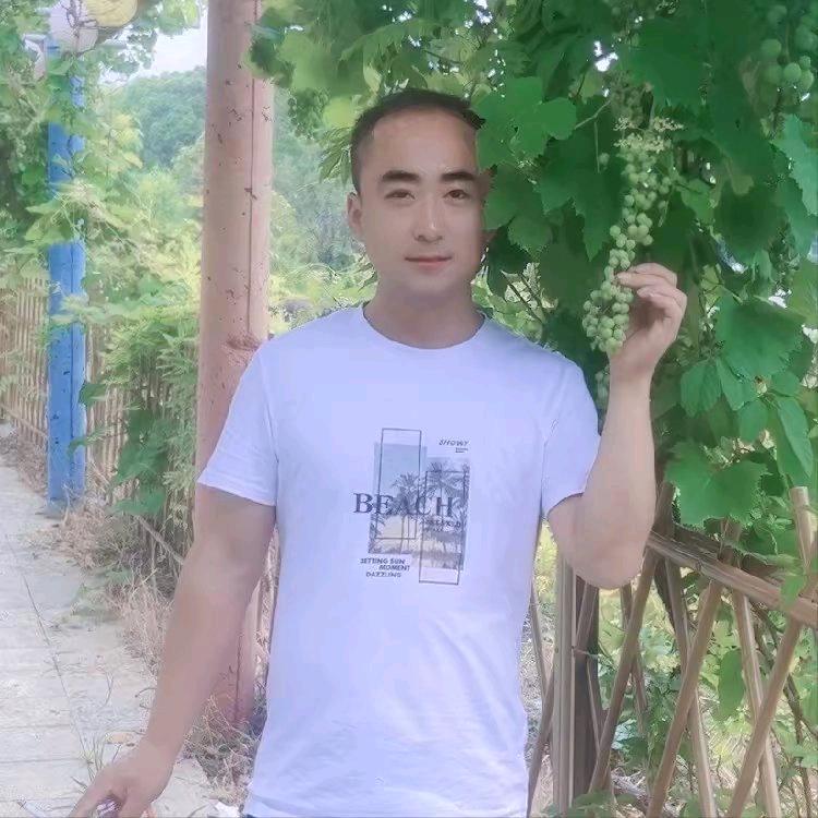 凤台德