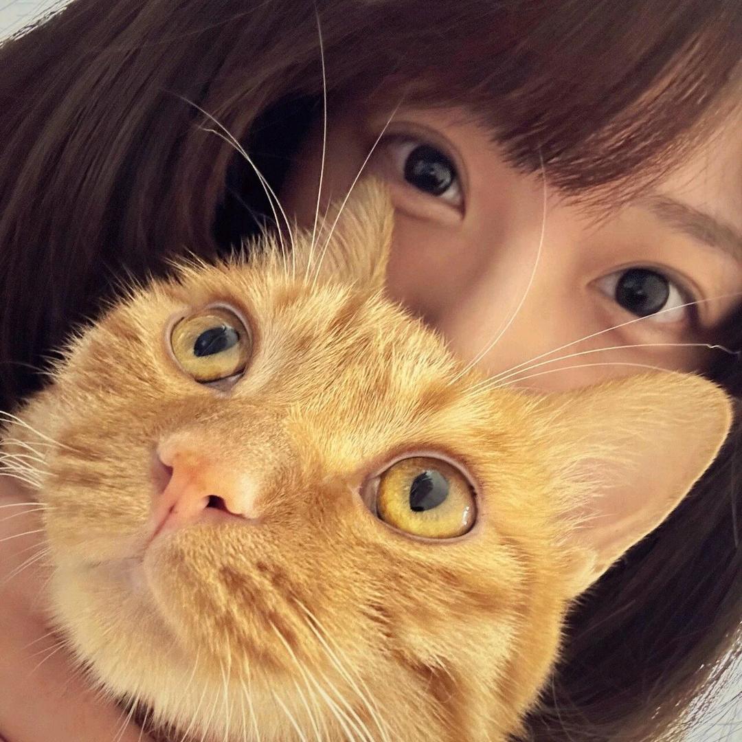 咩咩Baaa