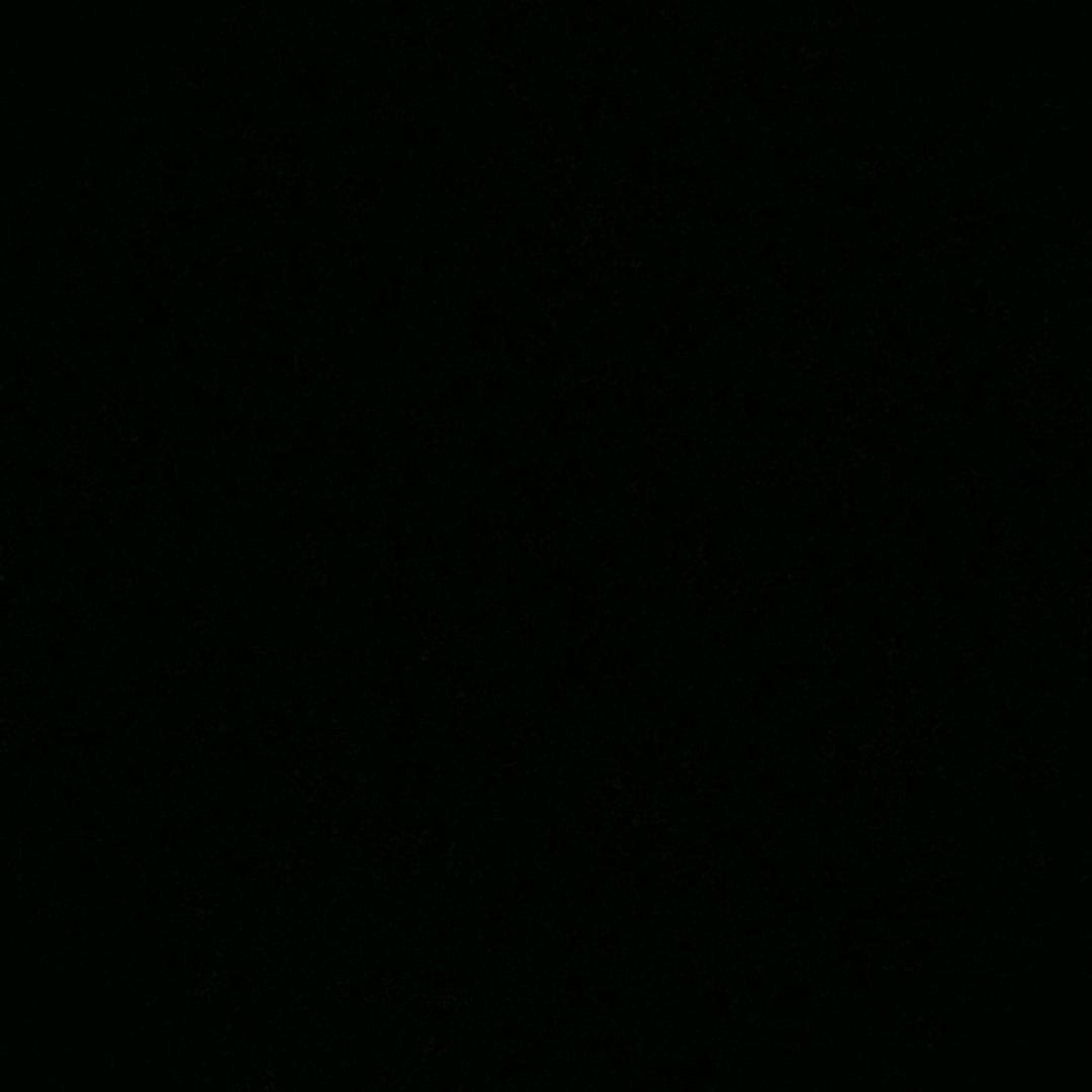 爷奶逗逗