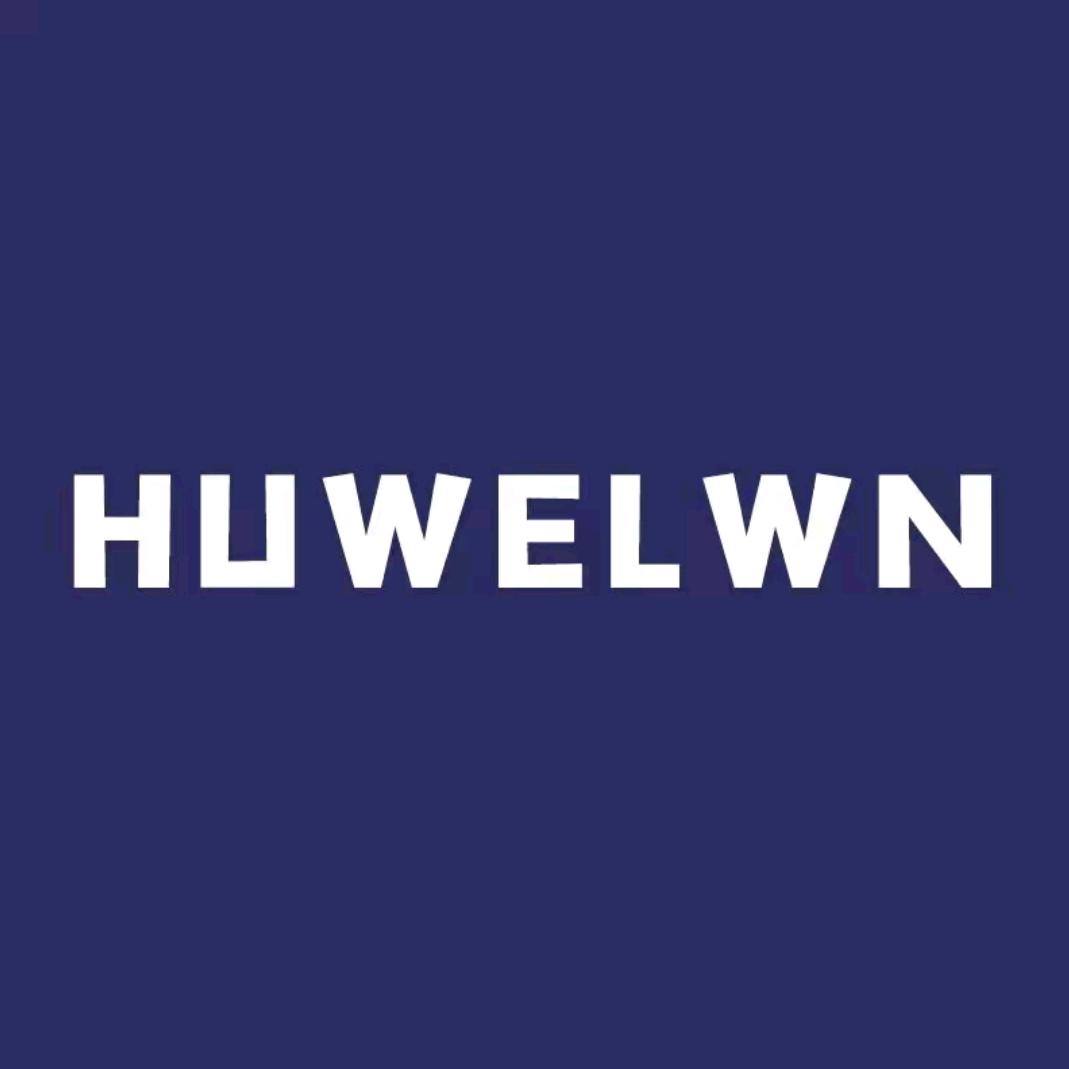 HUWELWN智能硬盘售卖店