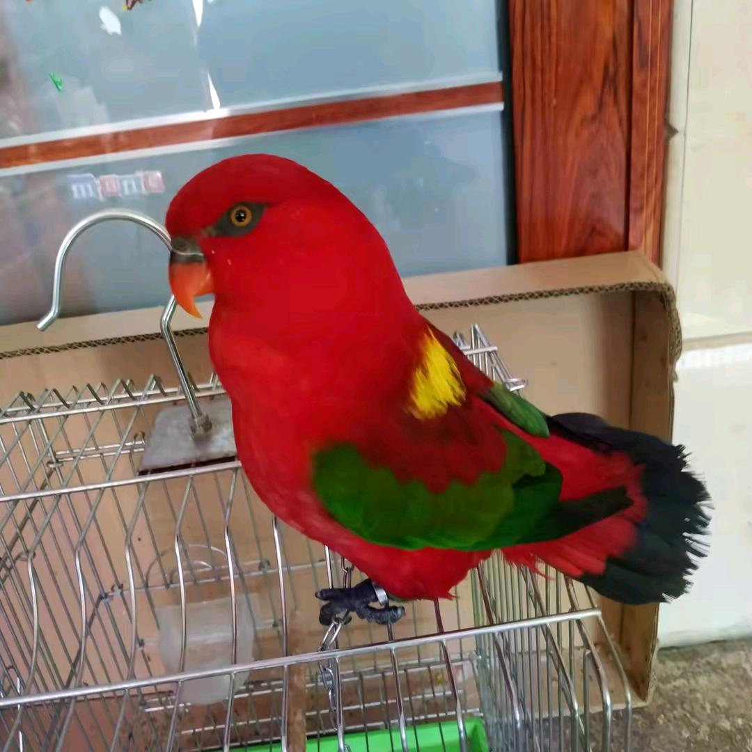 不见不散，为你停留 ，为你守候！