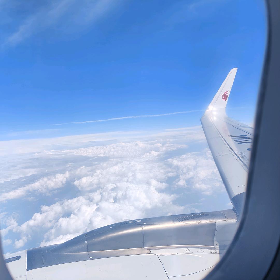 是我对你太放纵