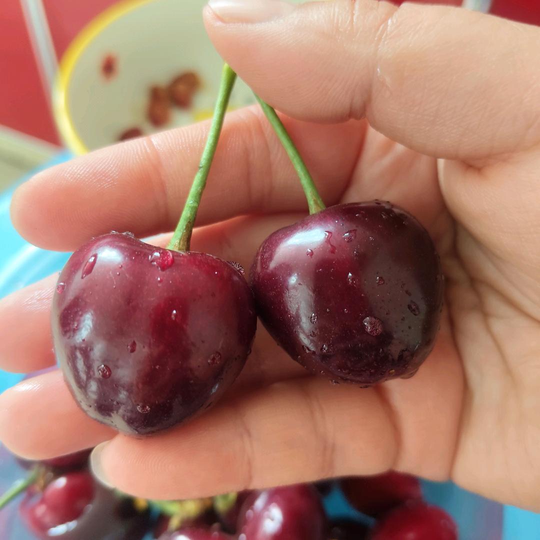 绝缘香→_→酒心