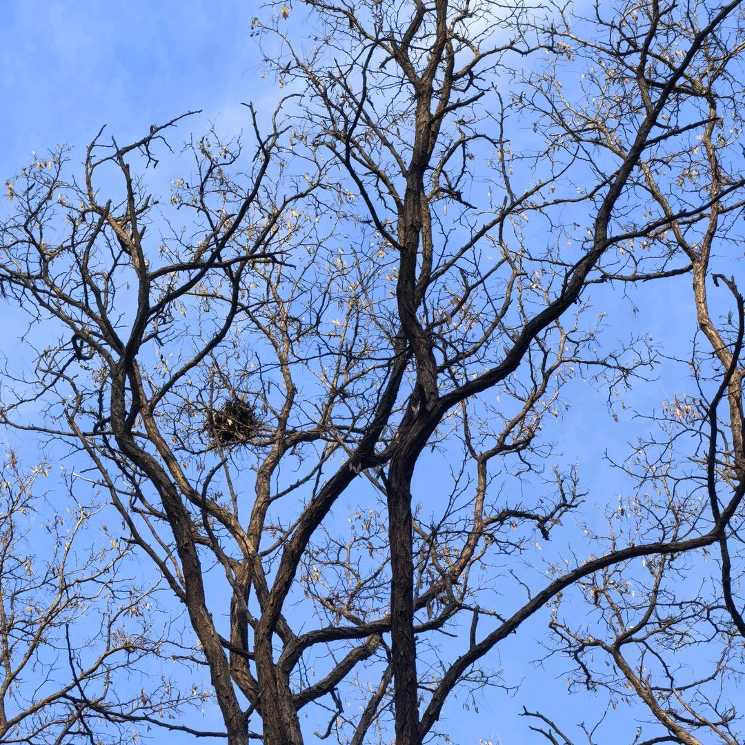 地质山川河流研究院院长