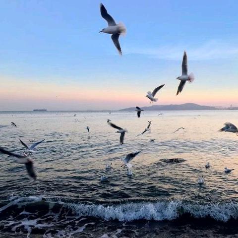 东众驾校（长安总部）余教练