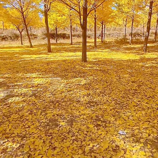 爱财爱己，风生水起