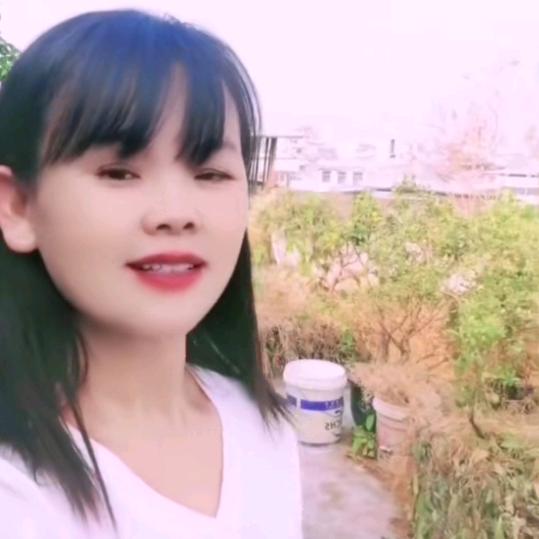 情情