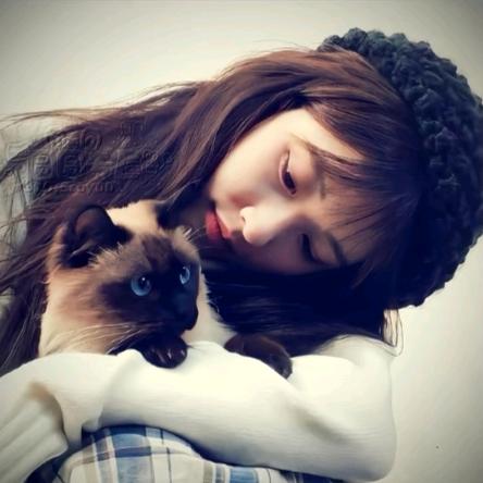 🦋凌晨猝死的猫🦋