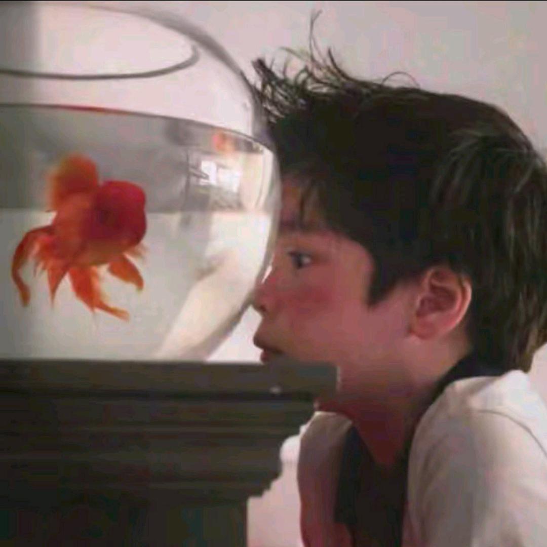 陈野子