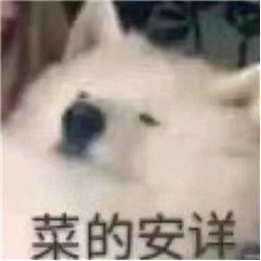 伤心偶斯顾