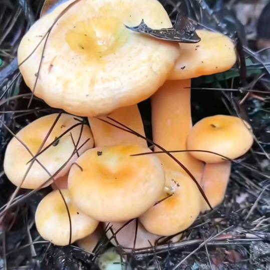 往后余生不将就