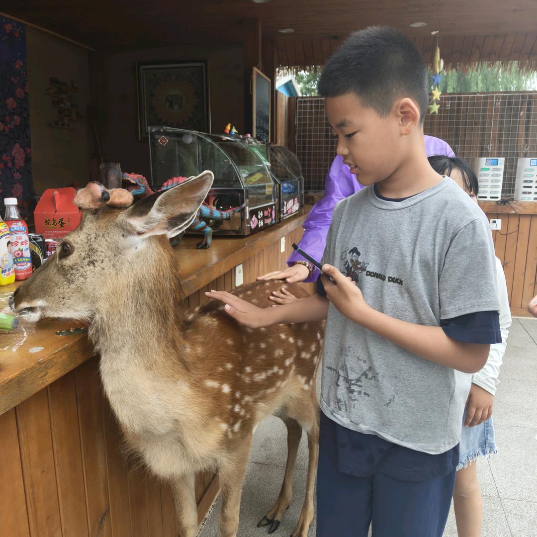 单眼皮妈妈👩🏻