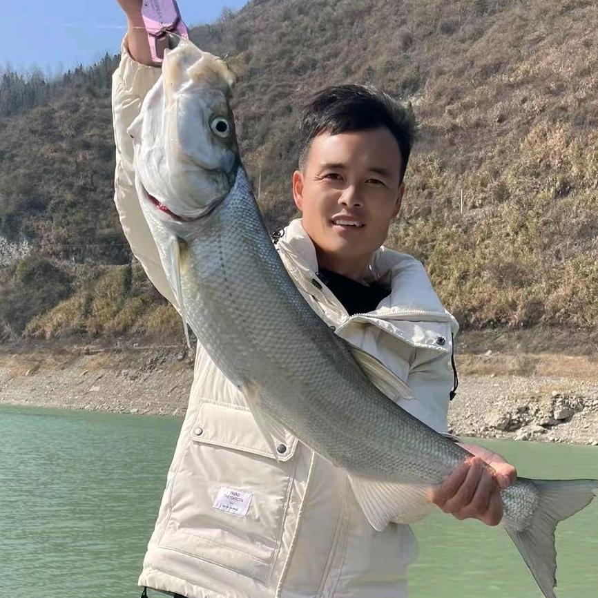 涛哥爱钓鱼