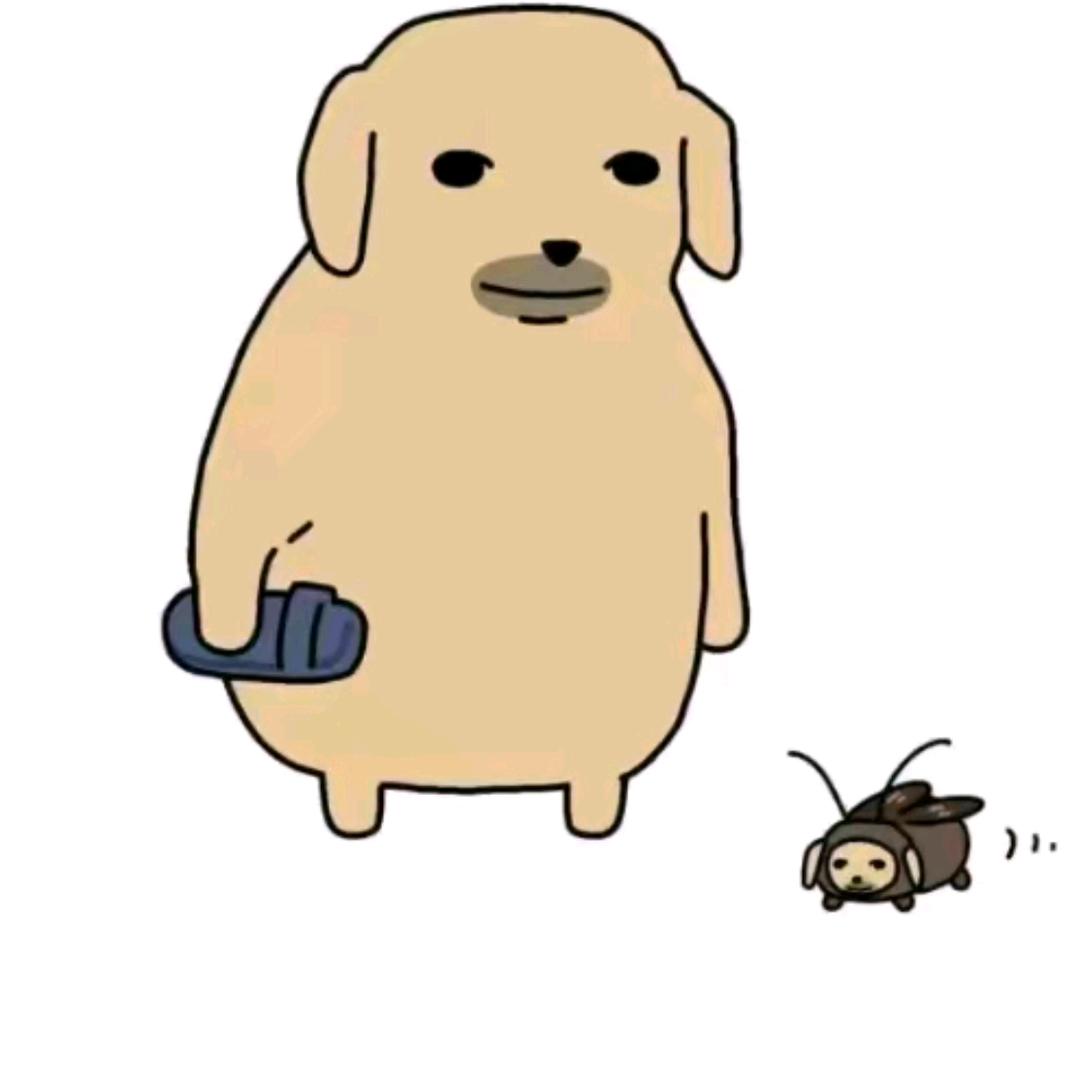 扶老蟑螂过马路被屎壳郎无证驾屎撞飞四十米