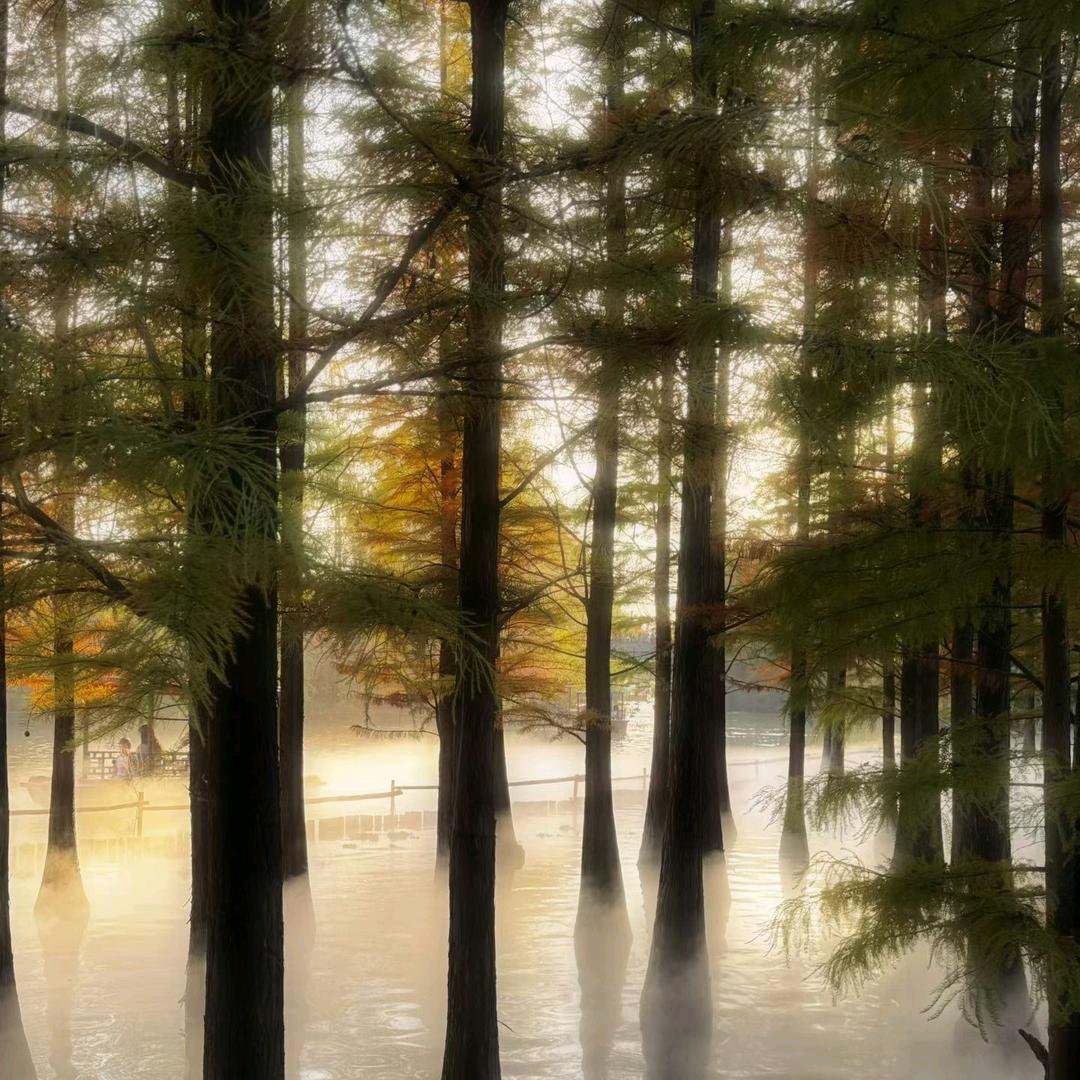 资源共享$方得始终