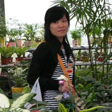 hong