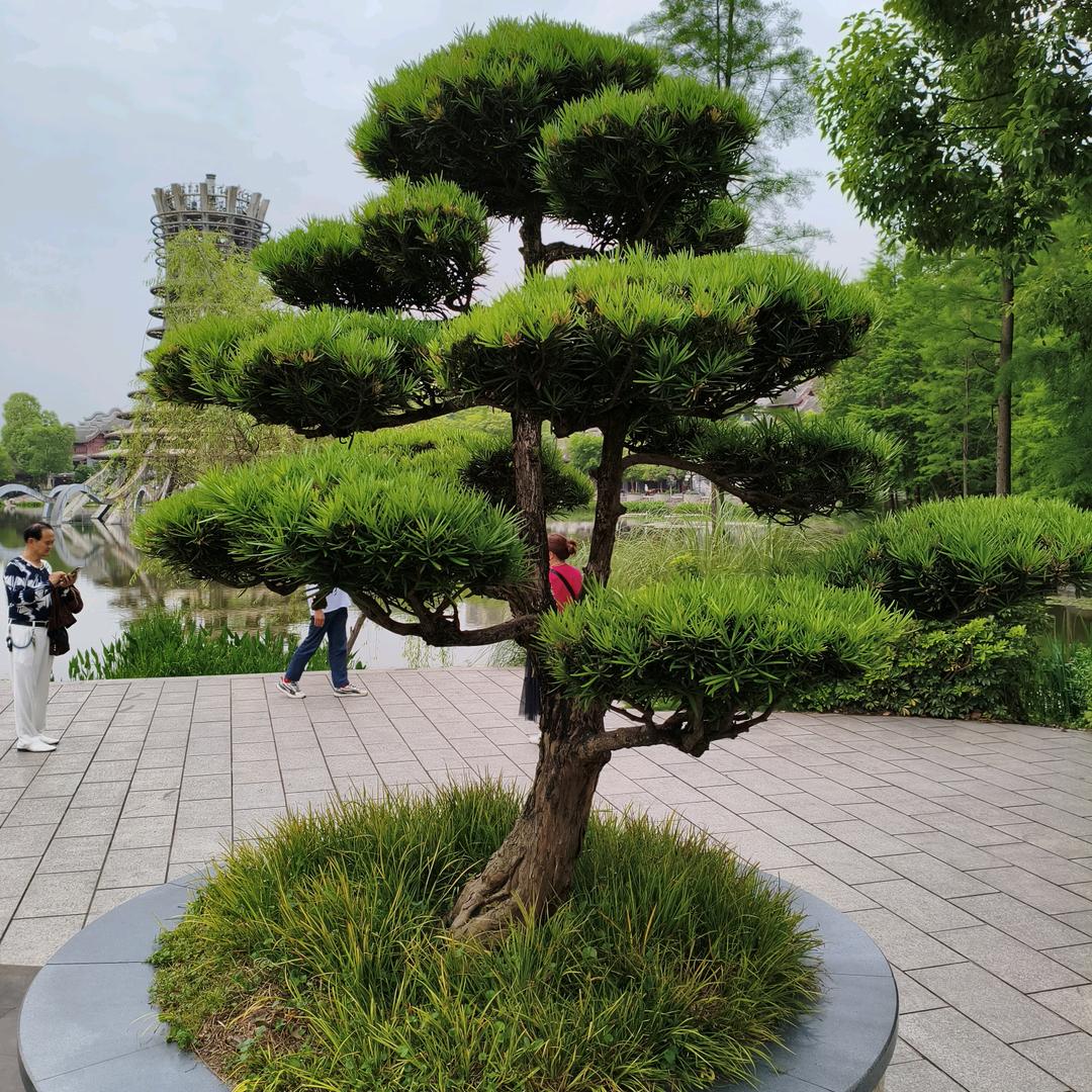 静心改变自己