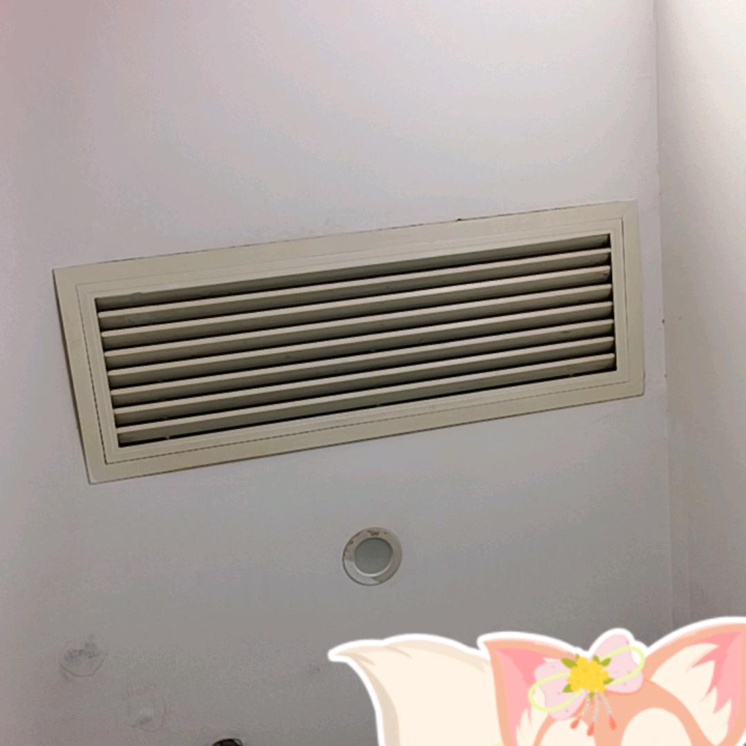小不点