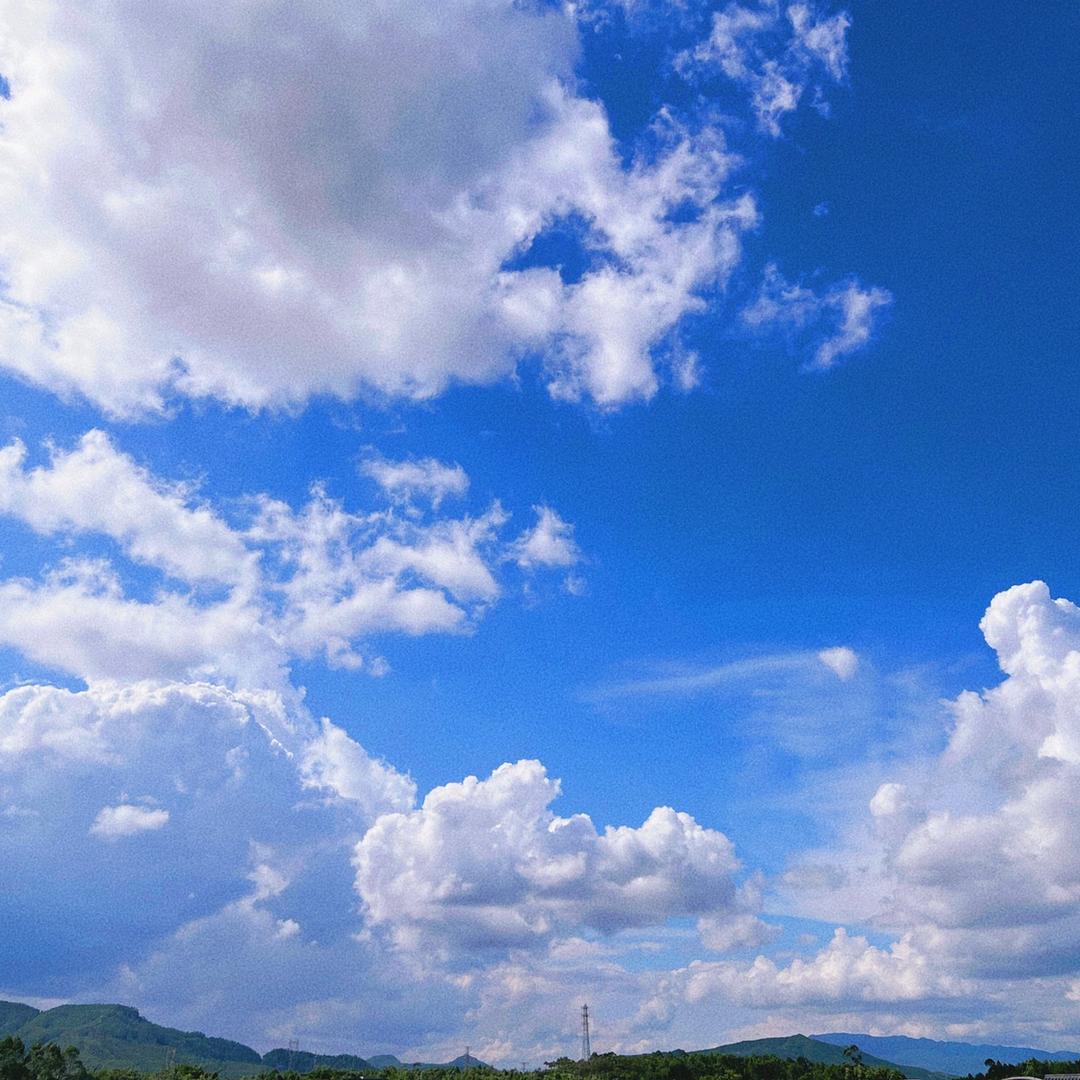 社畜来了