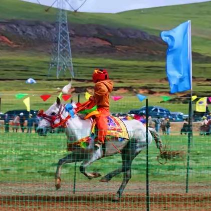 AD 马🐎